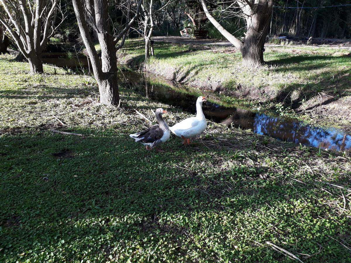 Willa Chacra La Escondida Colonia del Sacramento Zewnętrze zdjęcie