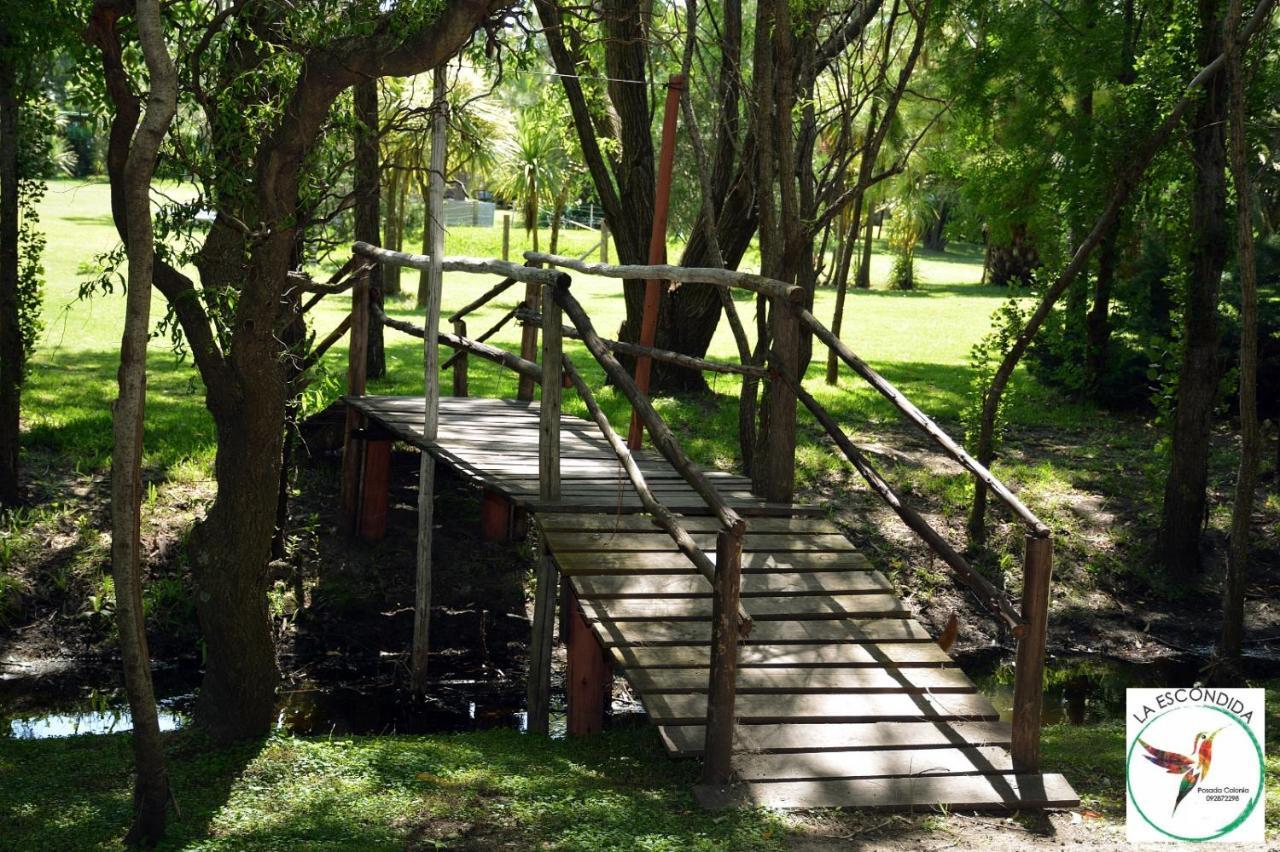 Willa Chacra La Escondida Colonia del Sacramento Zewnętrze zdjęcie